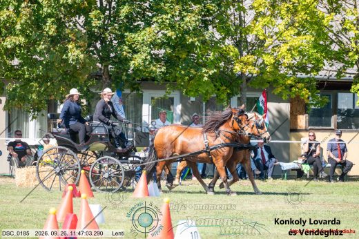 20260926-114703-DSC_0185.jpg