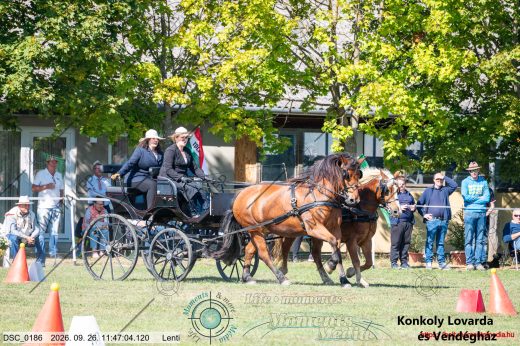 20260926-114704-DSC_0186.jpg