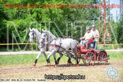 Mintakép 20260613-165