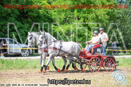 Mintakép 20260613-166