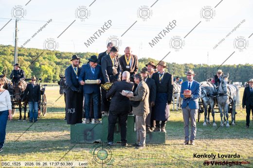 Mintakép 20260926-373
