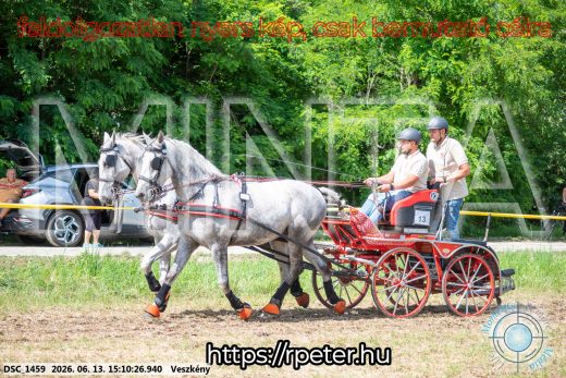 Mintakép 20260613-167