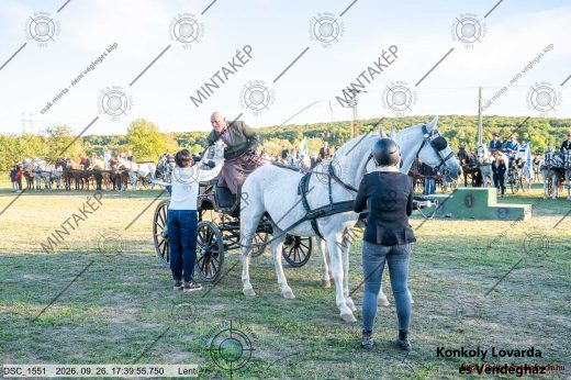Mintakép 20260926-399