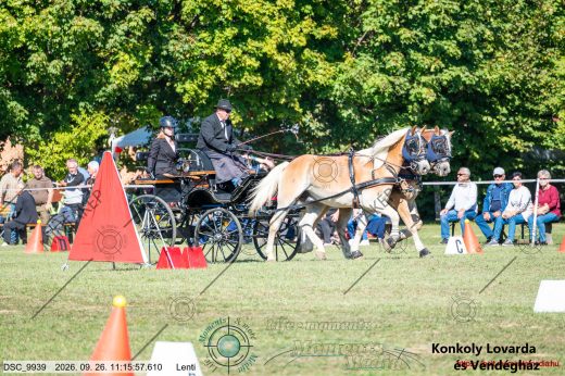 20260926-111557-DSC_9939.jpg