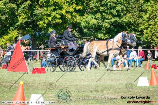 20260926-111557-DSC_9940.jpg