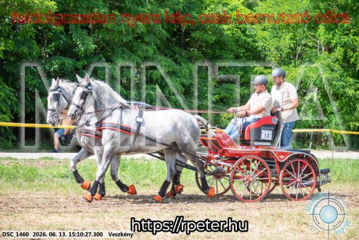 Mintakép 20260613-168