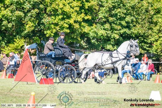 20260926-112011-DSC_9971.jpg