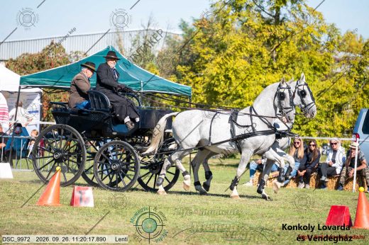 20260926-112017-DSC_9972.jpg