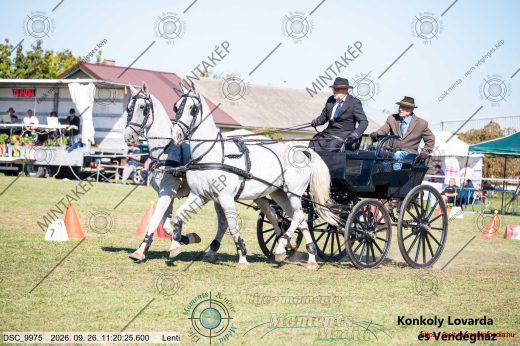 20260926-112025-DSC_9975.jpg
