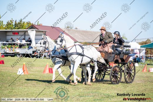 20260926-104633-DSC_9784.jpg