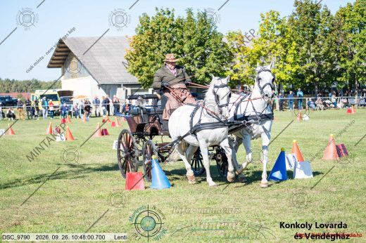 Mintakép 20260926-557