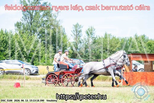 Mintakép 20260613-169