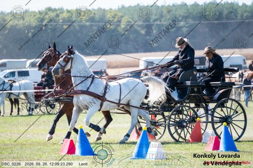 20260926-120923-DSC_0226.jpg