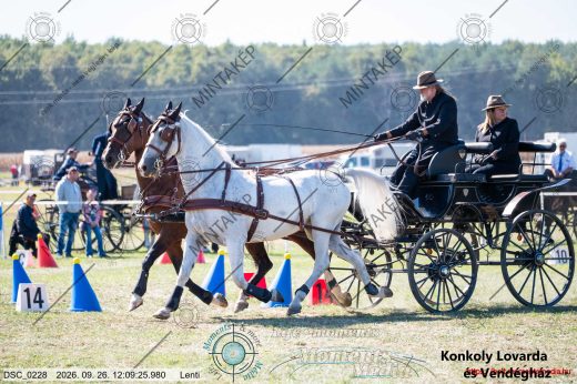 Mintakép 20260926-629