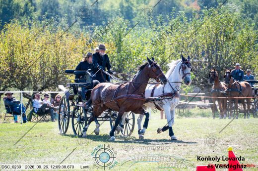 Mintakép 20260926-631