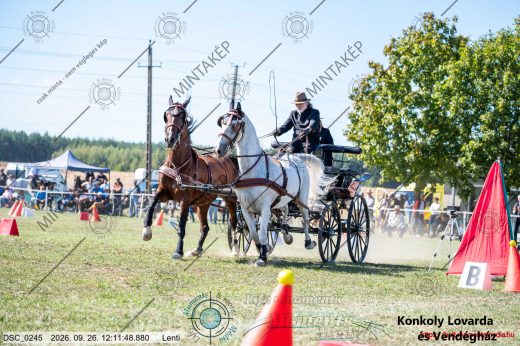 Mintakép 20260926-641