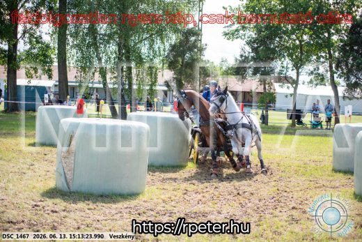 Mintakép 20260613-170