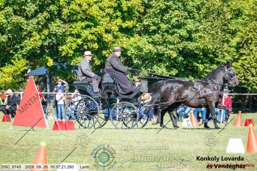 20260926-103721-DSC_9745.jpg
