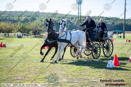 Mintakép 20260926-779