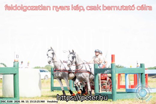 Mintakép 20260613-171