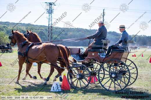 20260926-121257-DSC_0250.jpg
