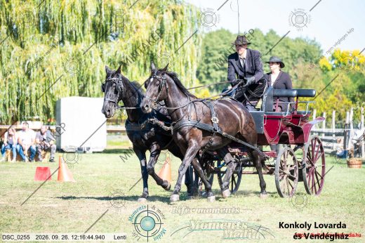 Mintakép 20260926-809