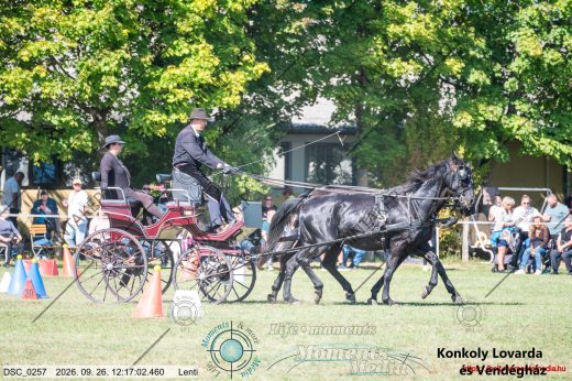 Mintakép 20260926-811