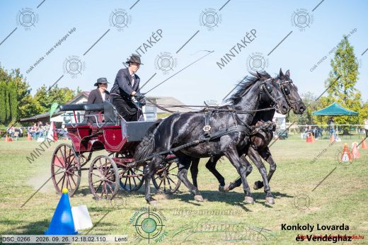 Mintakép 20260926-820
