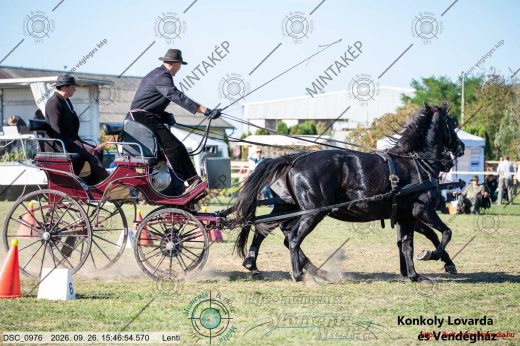 Mintakép 20260926-855