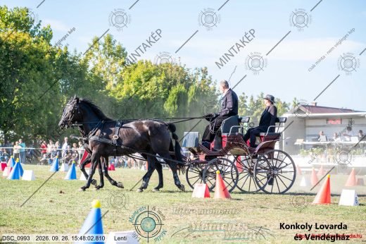 Mintakép 20260926-870