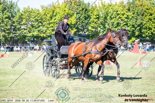Mintakép 20260926-886