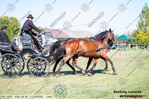 Mintakép 20260926-888