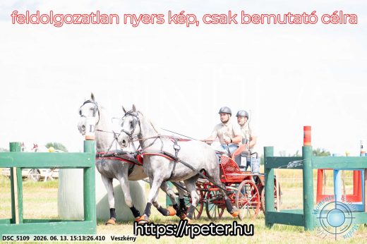Mintakép 20260613-172