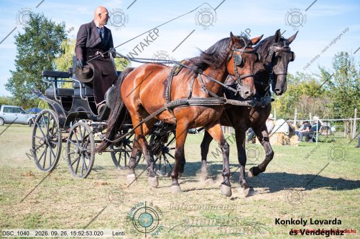 Mintakép 20260926-948