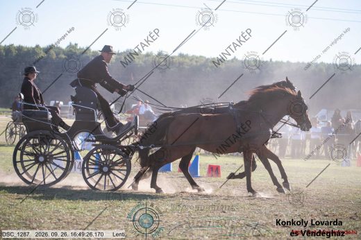 Mintakép 20260926-965