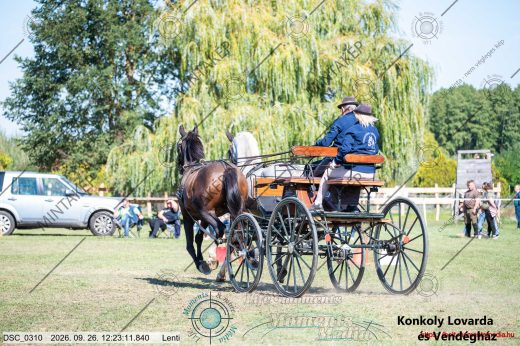 Mintakép 20260926-975