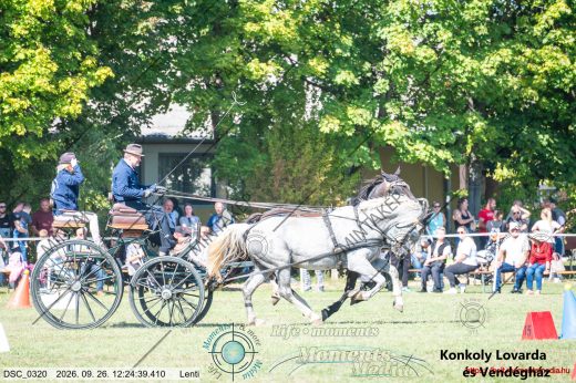Mintakép 20260926-982