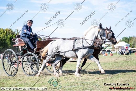Mintakép 20260926-989