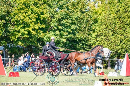 20260926-112420-DSC_9997.jpg