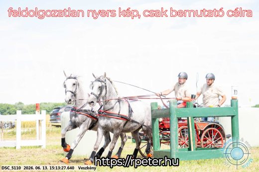 Mintakép 20260613-173