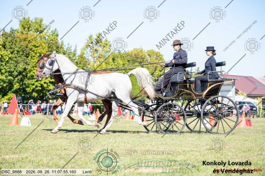 Mintakép 20260926-1021