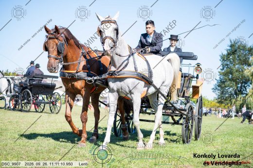 Mintakép 20260926-1032