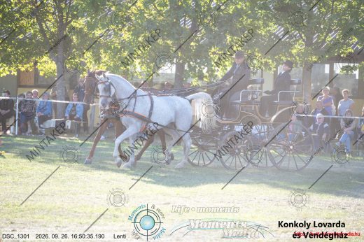 Mintakép 20260926-1062