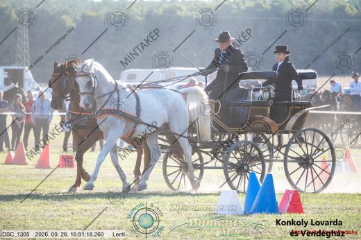 Mintakép 20260926-1065