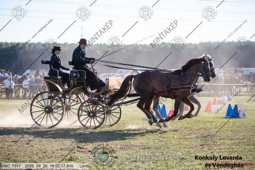 Mintakép 20260926-1073