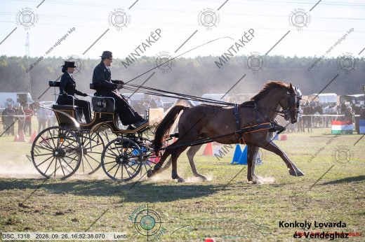 Mintakép 20260926-1074