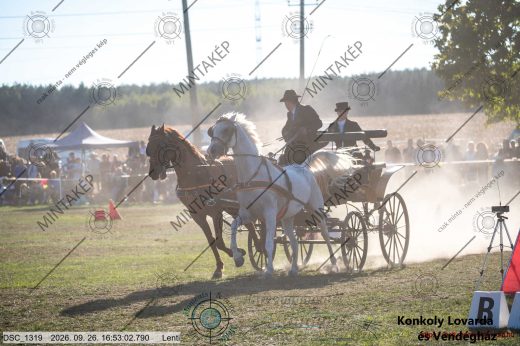 Mintakép 20260926-1075