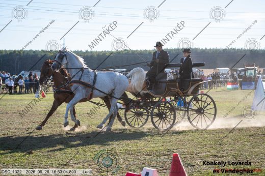 Mintakép 20260926-1077