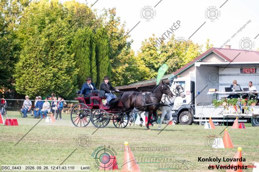 Mintakép 20260926-1093