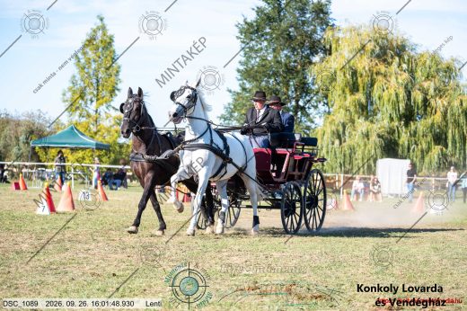 Mintakép 20260926-1096
